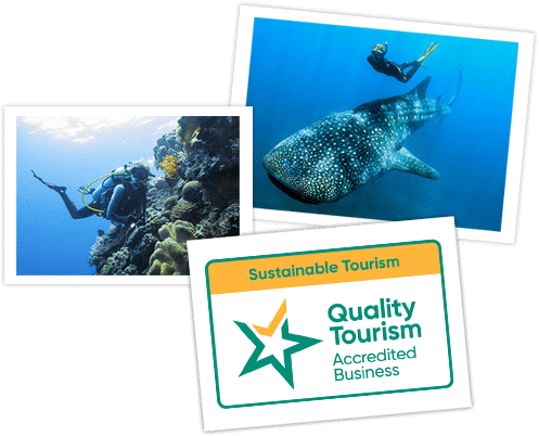 Dive Ningaloo - Tripadvisor Certificate of Excellence