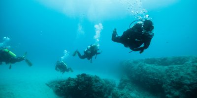 Dive Ningaloo - Guiding a dive