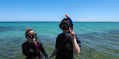 Dive Ningaloo - Snorkel Lessons