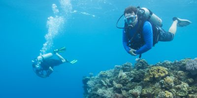 Dive Ningaloo -Underwater Naturalist Course